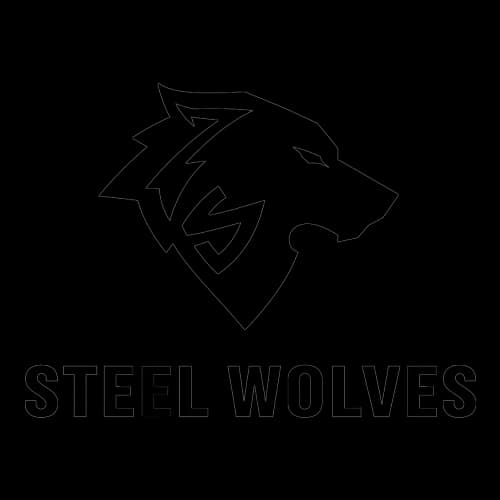 STEEL WOLVES MC company logo